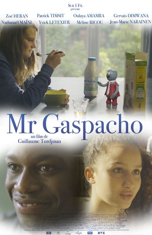 Mr Gaspacho (2016) poster