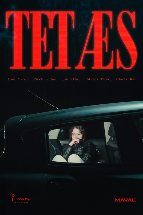 TETÆS (2024) poster