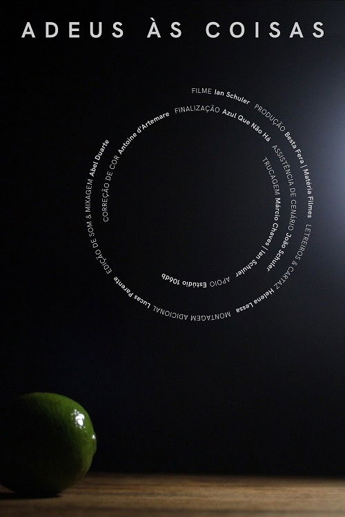 Goodbye to the Things (2019) poster