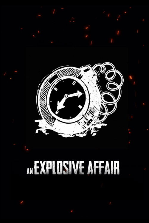 An Explosive Affair (2016) poster