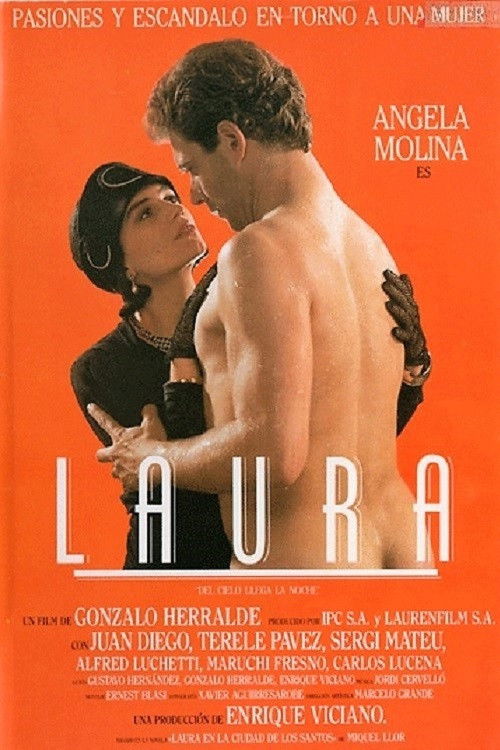 Laura, del cielo llega la noche (1987) poster