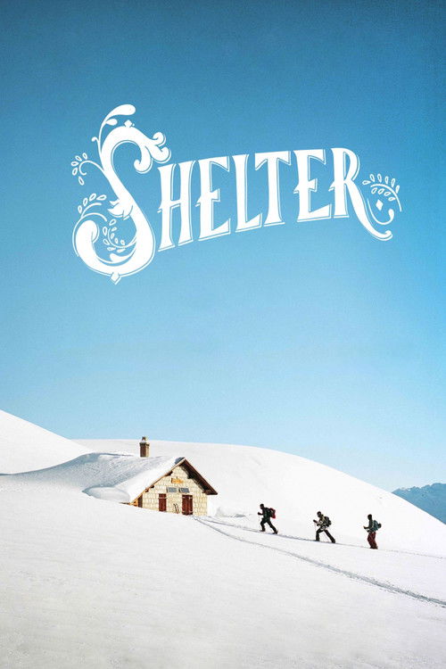 Shelter (2019) poster