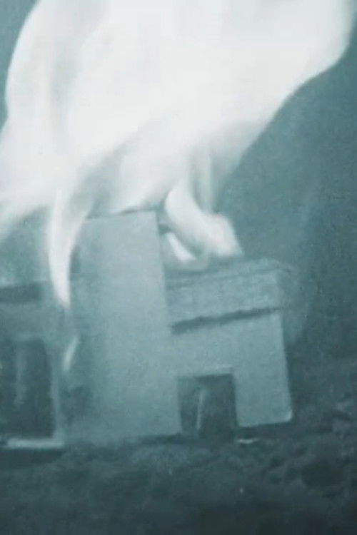 Reportage ! (2015) poster