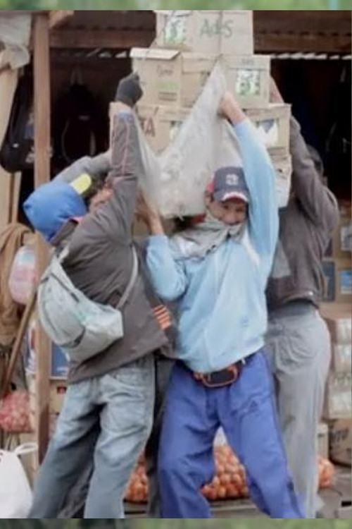 La pasarela (2012) poster