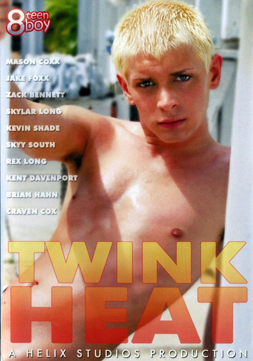 Twink Heat (2005) poster