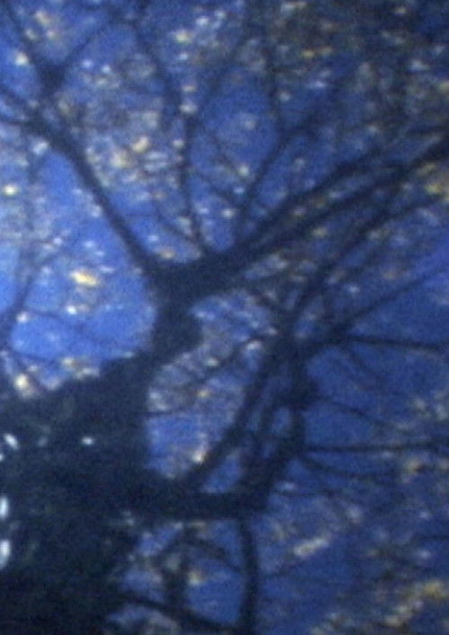 In September (2010) poster