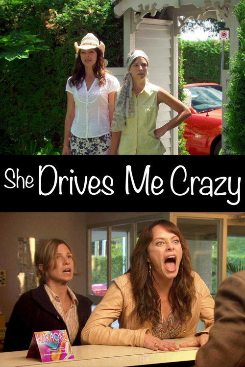 She Drives Me Crazy (2007) poster