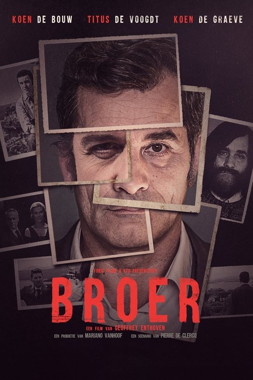 Brother (2016) poster