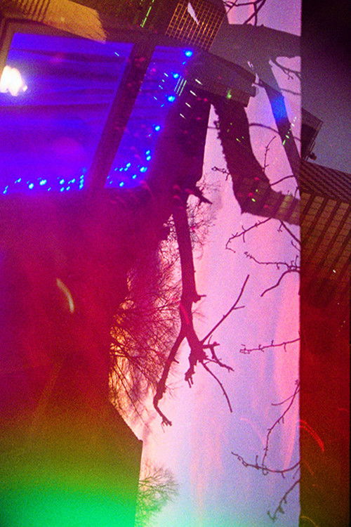 Fallen Arches (2018) poster