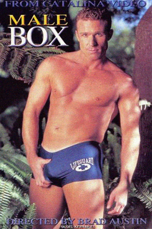 Male Box (1999) poster