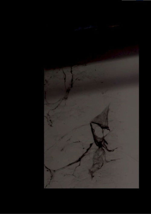 RITUAL, Part IV: The Blends (2022) poster