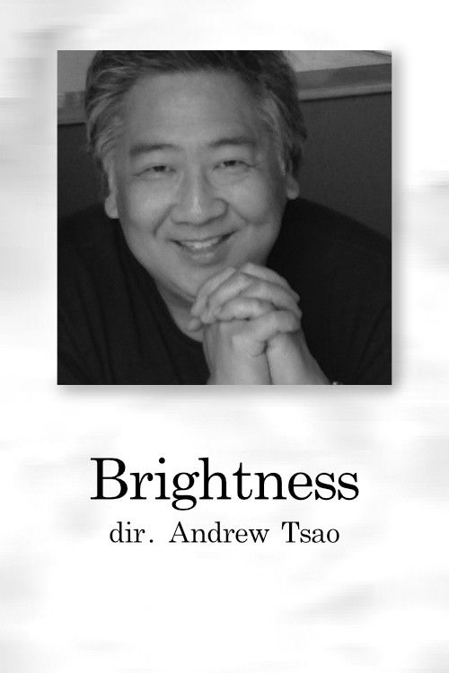 Brightness (2001) poster