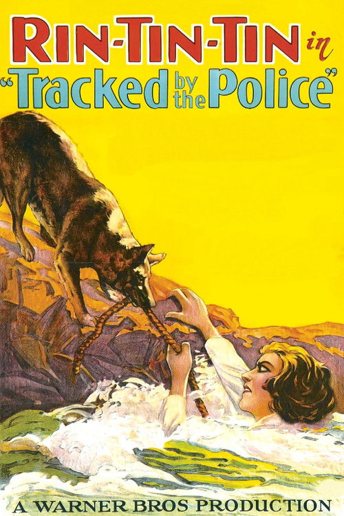 Tracked by the Police (1927) poster