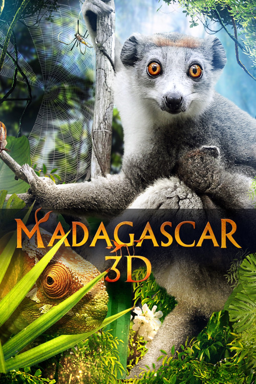 Madagascar 3D (2013) poster
