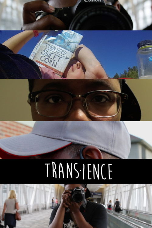 Trans-ience (2015) poster
