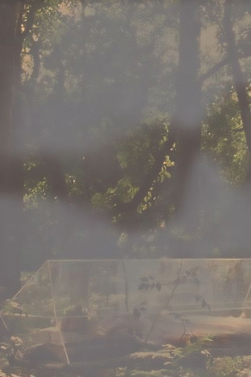 Rehla: Our Phantom Pregnancy (2020) poster