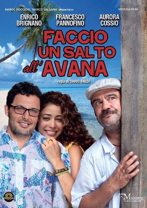Faccio un salto all'Avana (2011) poster