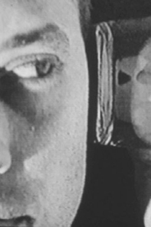 Shimmer (1995) poster