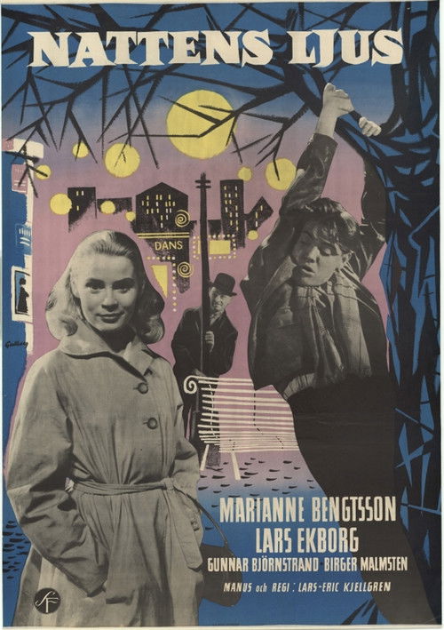 Night Light (1957) poster