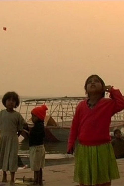 Heart of a Tiger (2009) poster