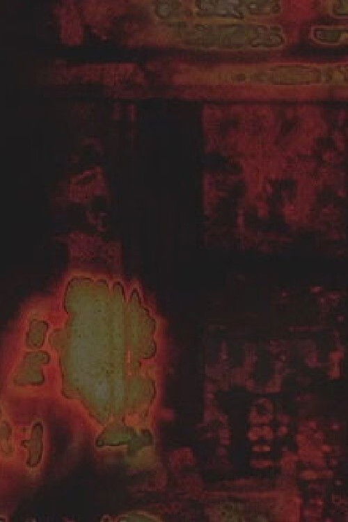 Untitled (2010) poster