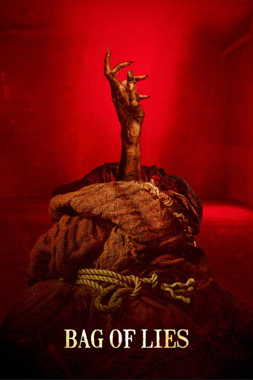 Bag of Lies (2024) poster