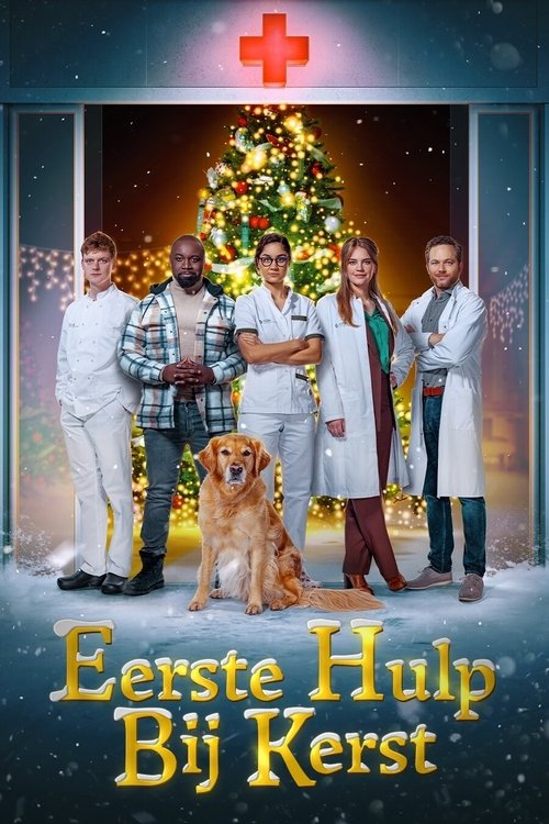 Eerste Hulp Bij Kerst (2023) poster