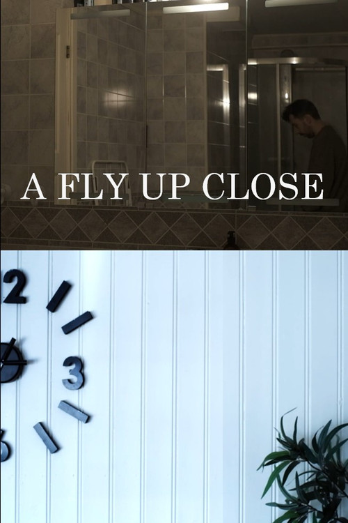 En Flue På Nært Hold (2024) poster
