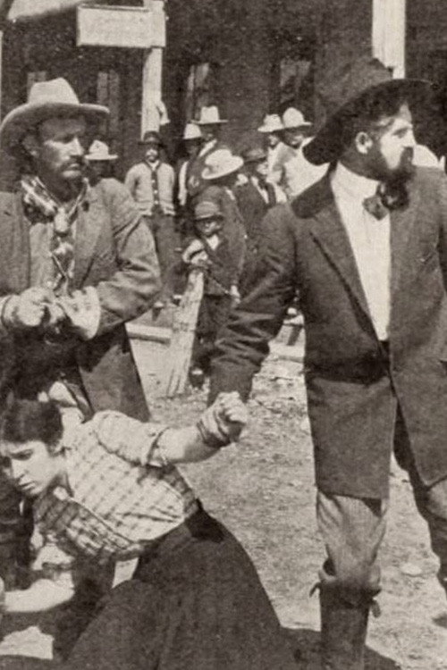 The Spring Round-Up (1911) poster