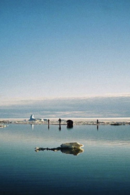 J'ai rêvé/Sinnaktulauqpunga (2007) poster