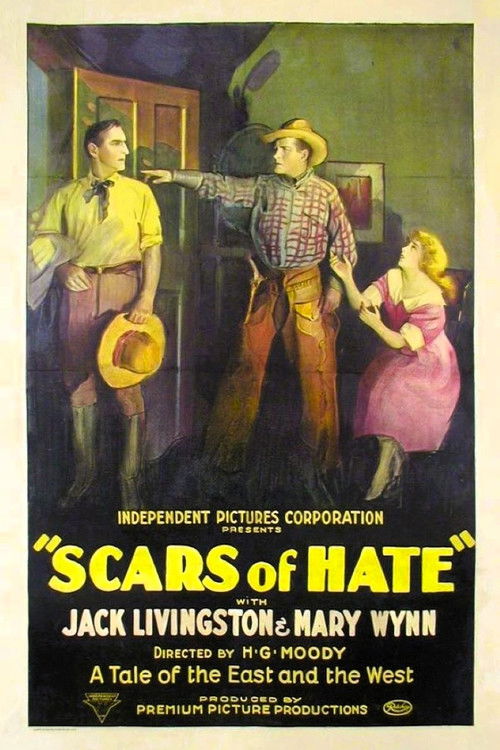 Scars of Hate (1923) poster