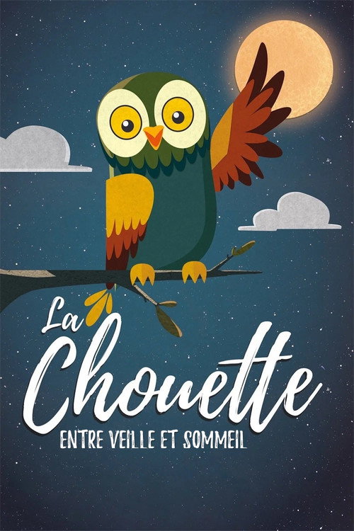 La Chouette entre veille et sommeil (2016) poster