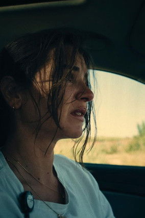 Free Fall (2024) poster