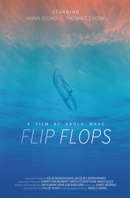 Flip Flops (2015) poster