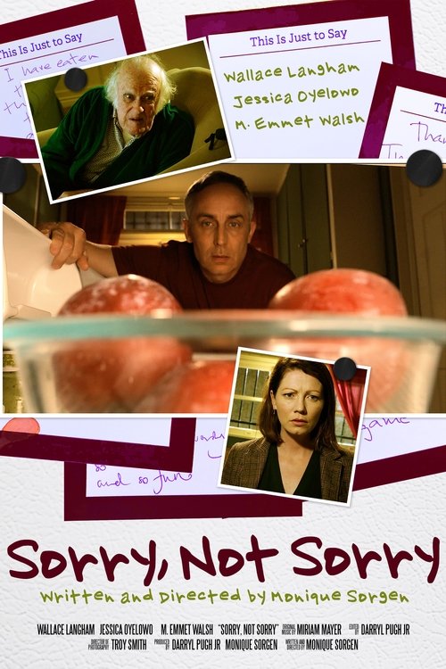 Sorry, Not Sorry (2019) poster