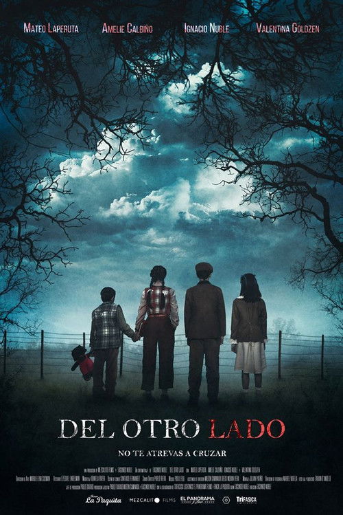 Del Otro Lado (2020) poster