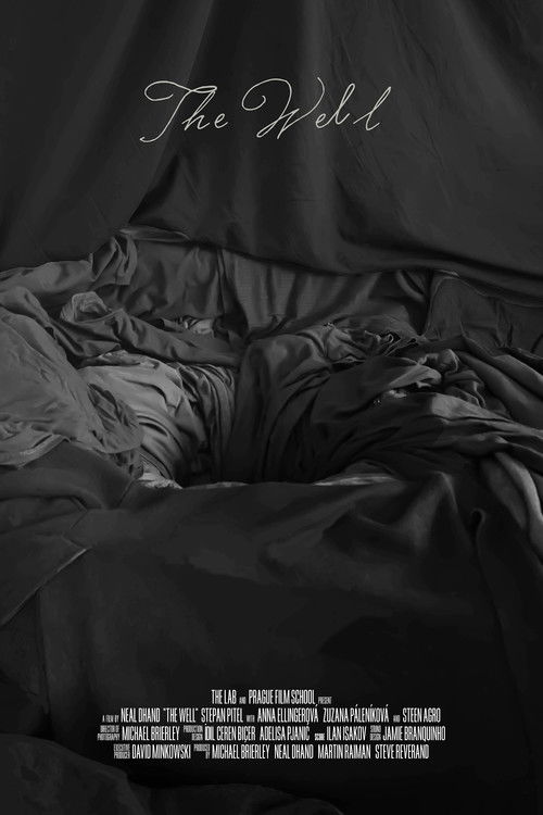 The Well (2020) poster