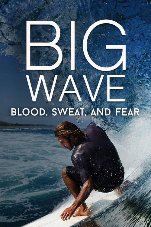 Big Wave: Blood, Sweat, and Fear (2018) poster