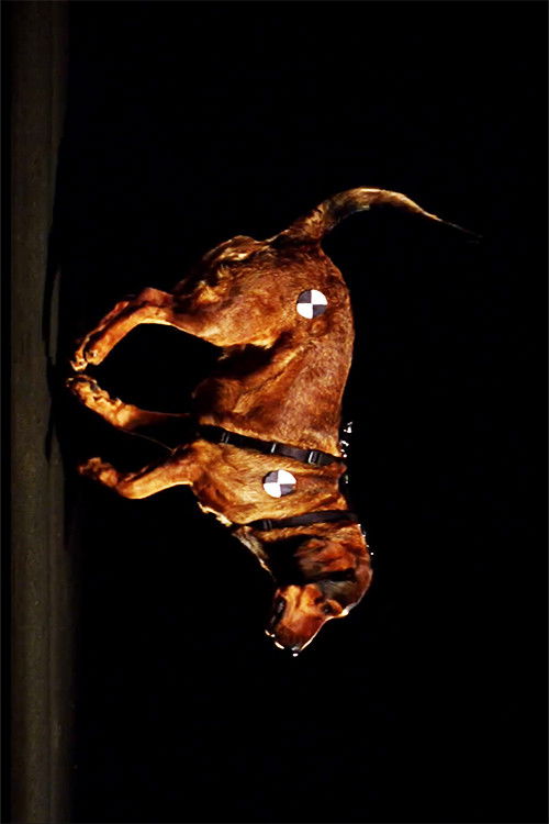 SpaceTimeDog (2010) poster