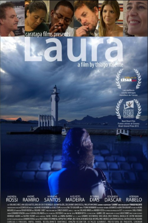 Laura (2013) poster