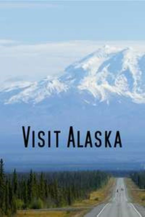 Visit Alaska (2022) poster