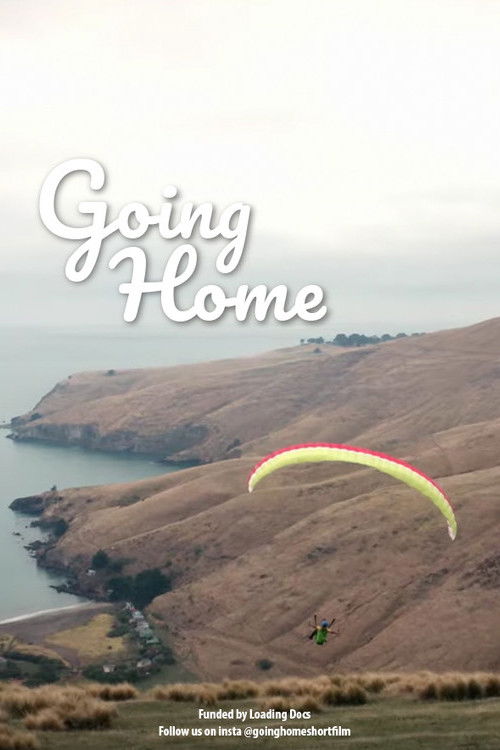 Going Home poster