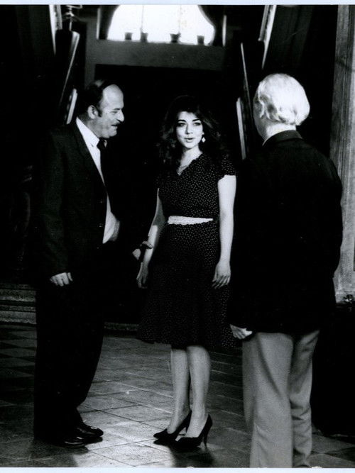 Lantern in the Wind (1987) poster