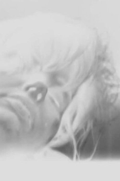 Goodbye Thelma (2019) poster