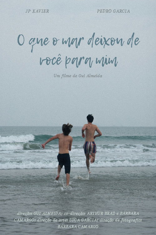 What The Sea Left Behind (2024) poster