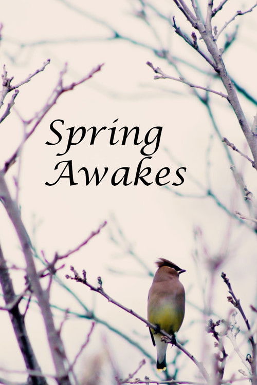 Spring Awakes poster