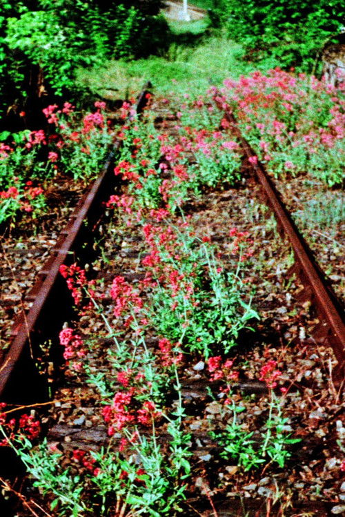 Phantom Ride Phantom (2017) poster