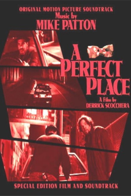 A Perfect Place (2008) poster