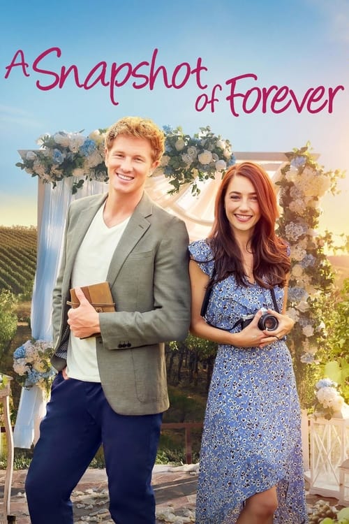 A Snapshot of Forever (2022) poster