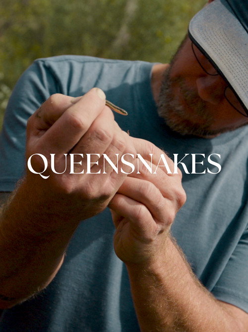 Queensnakes (2024) poster
